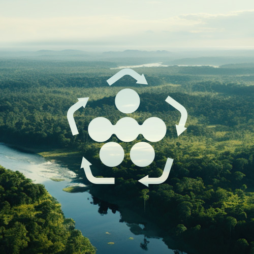 サステナビリティ